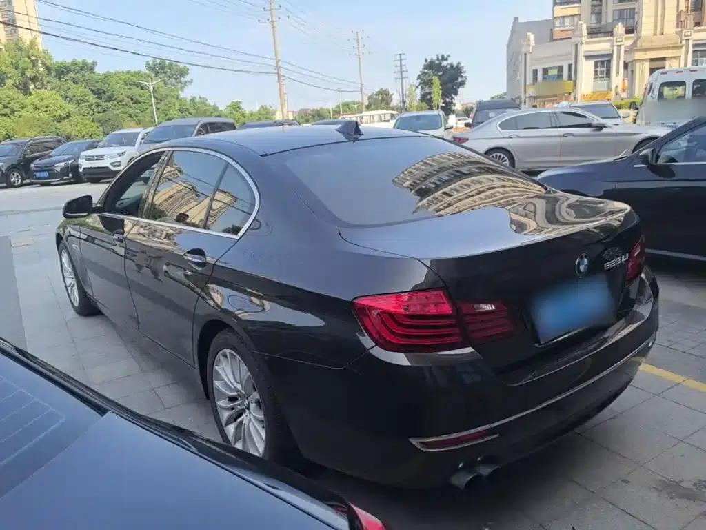 2017 BMW 5 Series 525Li Luxury Design Package — миниатюра 5