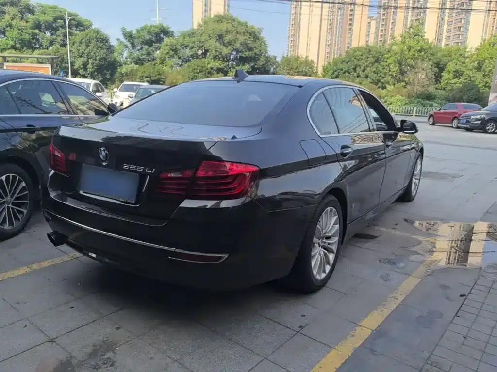 2017 BMW 5 Series 525Li Luxury Design Package — миниатюра 7