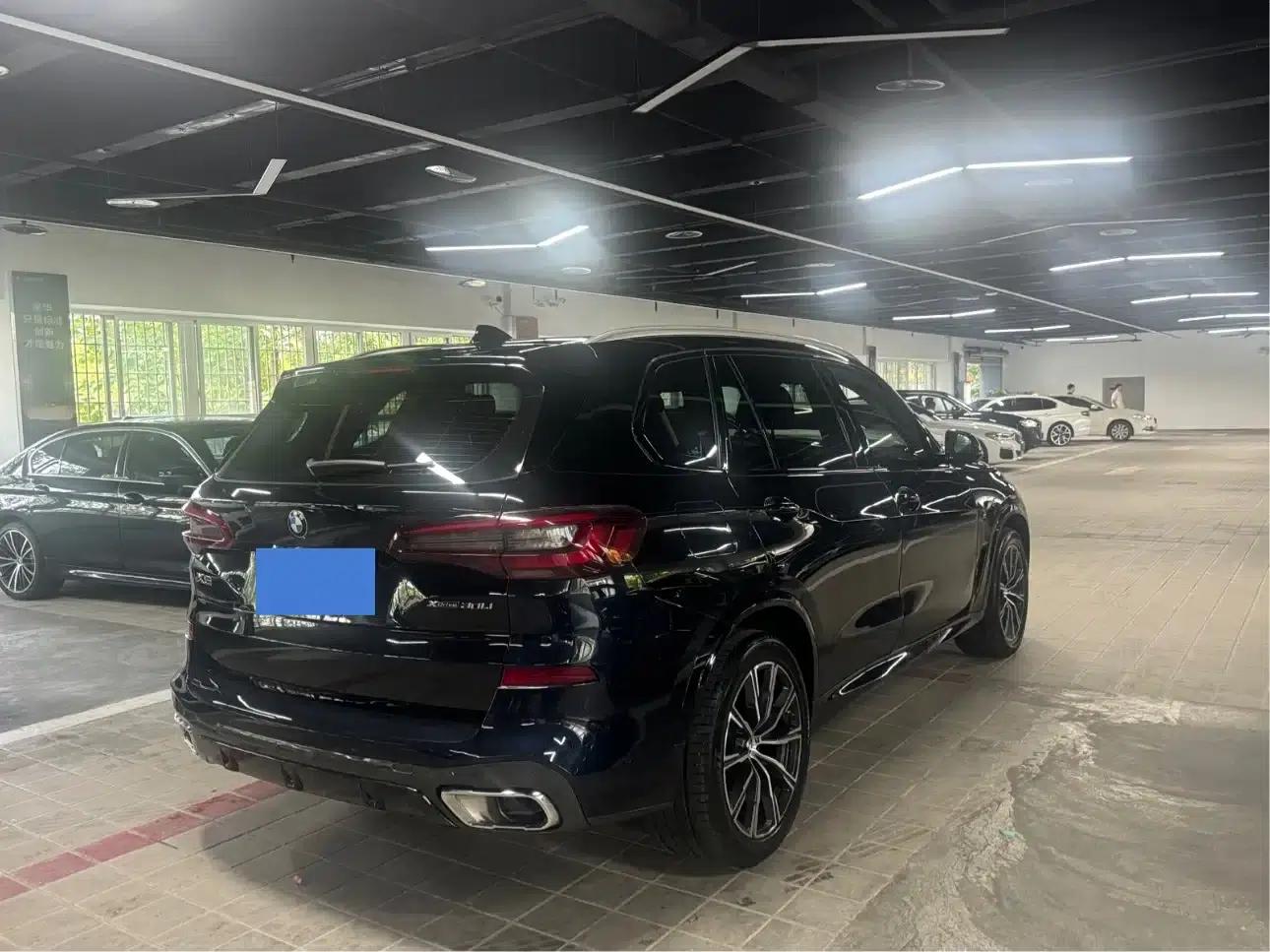 BMW X5 2023 xDrive 30Li Luxury M Sport Package — миниатюра 4