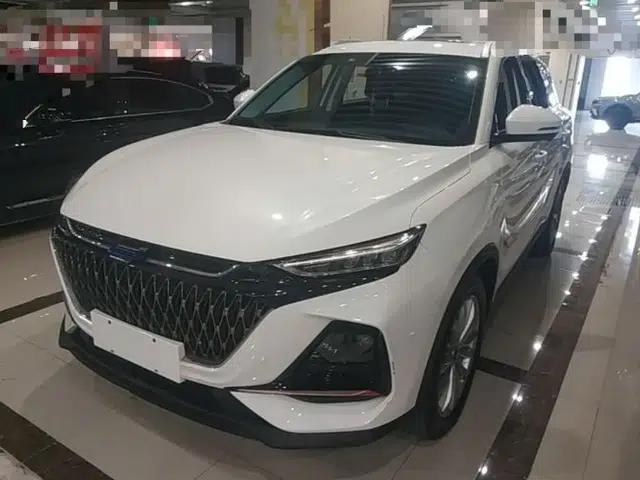 CHANGAN OSHAN X7 PLUS 2022 1.5T Blue Whale Edition Automatic Prestige Version