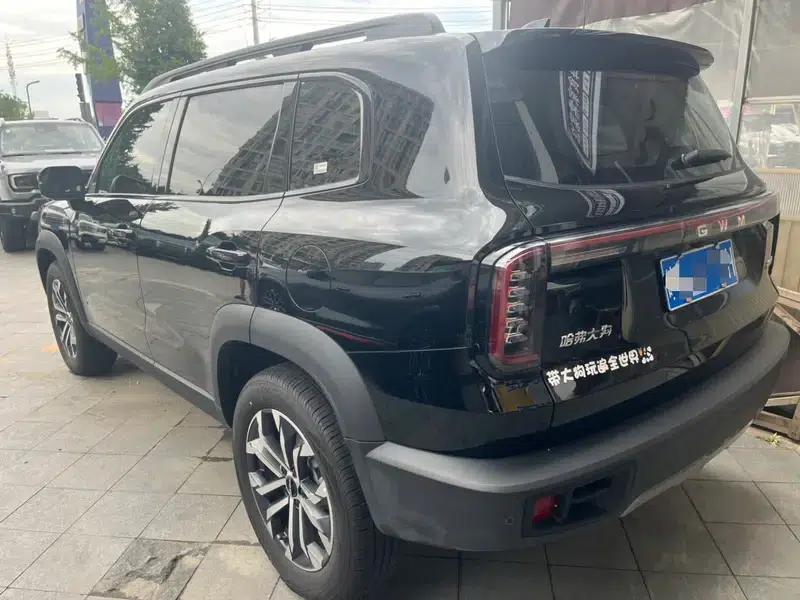 Haval Big Dog 2026 1.5T 2WD Border Collie Edition — миниатюра 3