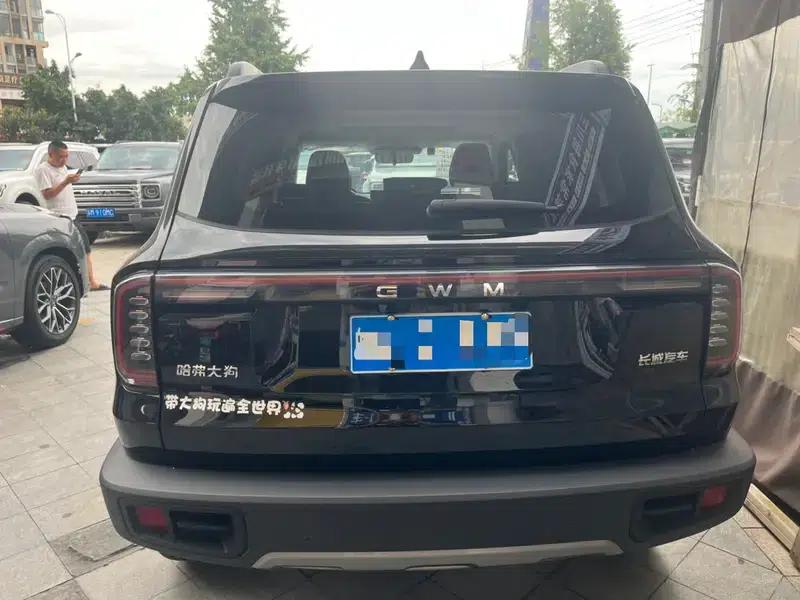 Haval Big Dog 2026 1.5T 2WD Border Collie Edition — миниатюра 4