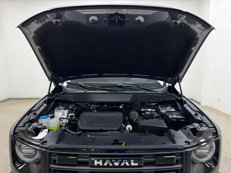 Haval Big Dog 2026 1.5T 2WD Border Collie Edition — миниатюра 10
