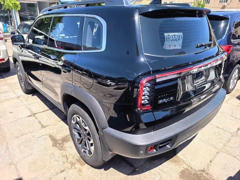 Haval Big Dog 2024 2.0T 4WD Chinese Rural Dog Edition — миниатюра 3