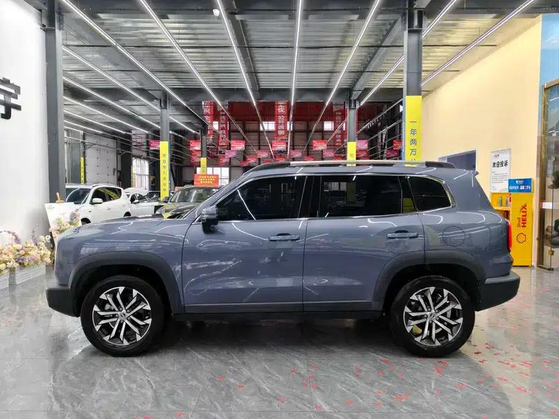 Haval Big Dog 2022 1.5T 2WD Border Collie Edition — миниатюра 4