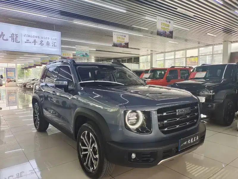 Haval Big Dog 2021 1.5T 2WD Border Collie Edition — миниатюра 3