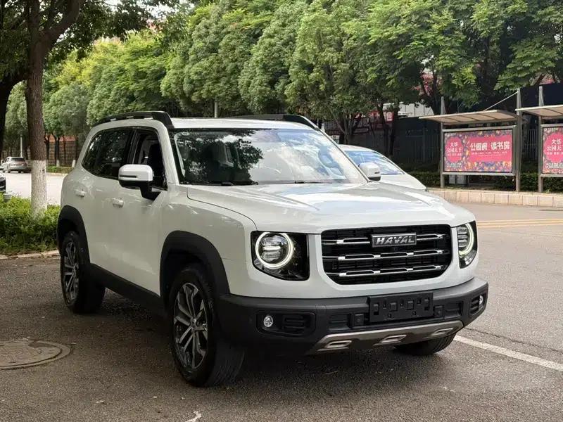 Haval Big Dog 2022 1.5T 2WD Labrador Edition — миниатюра 3