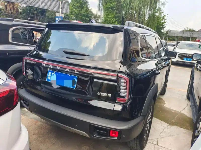 Haval Big Dog 2024 1.5T 2WD Border Collie Edition — миниатюра 5