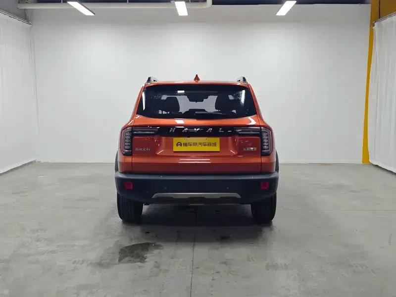 Haval Big Dog 2021 1.5T 2WD Border Collie Edition — миниатюра 6