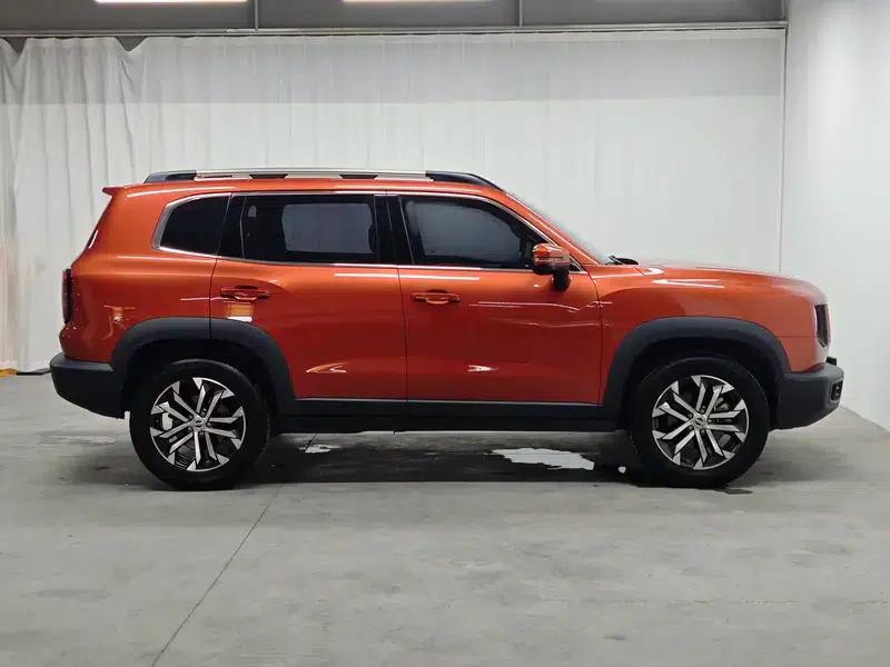 Haval Big Dog 2021 1.5T 2WD Border Collie Edition — миниатюра 8
