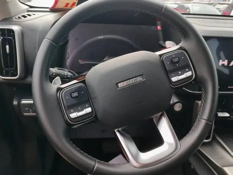 Haval Big Dog 2024 1.5T 2WD Labrador Edition — миниатюра 10