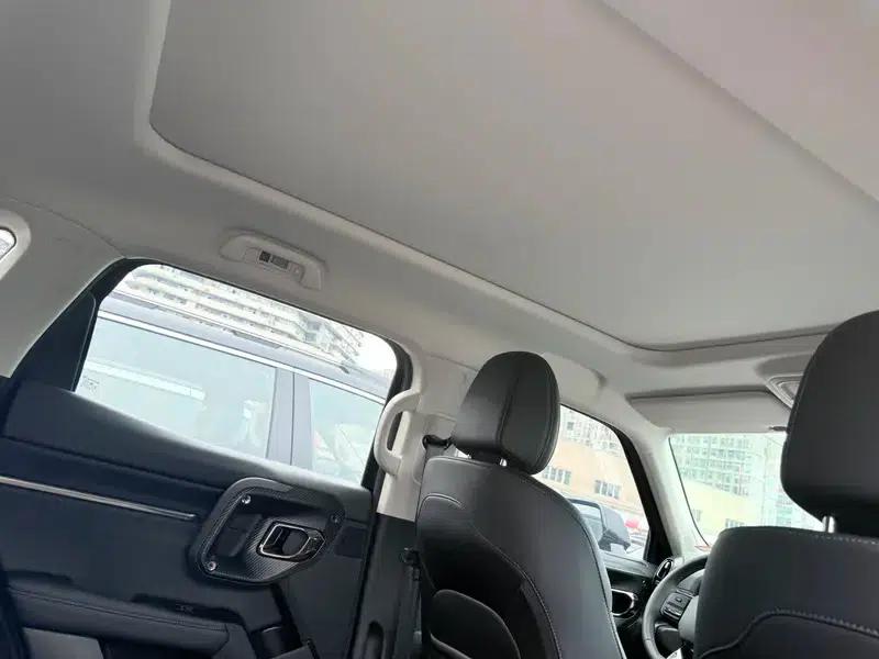 Haval Big Dog 2024 1.5T 2WD Border Collie Edition — миниатюра 12