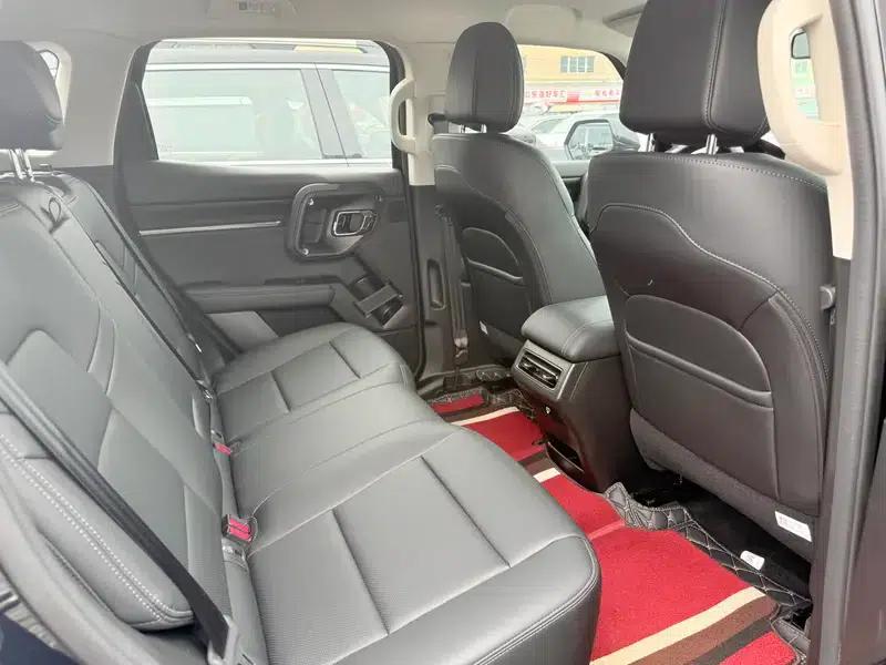 Haval Big Dog 2024 1.5T 2WD Border Collie Edition — миниатюра 14