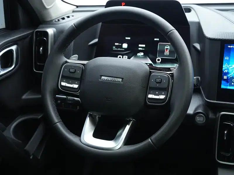 Haval Big Dog 2024 1.5T 2WD Labrador Edition — миниатюра 16