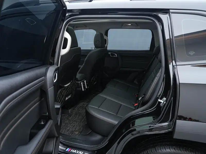 Haval Big Dog 2024 1.5T 2WD Labrador Edition — миниатюра 18