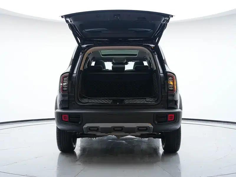 Haval Big Dog 2024 1.5T 2WD Labrador Edition — миниатюра 20