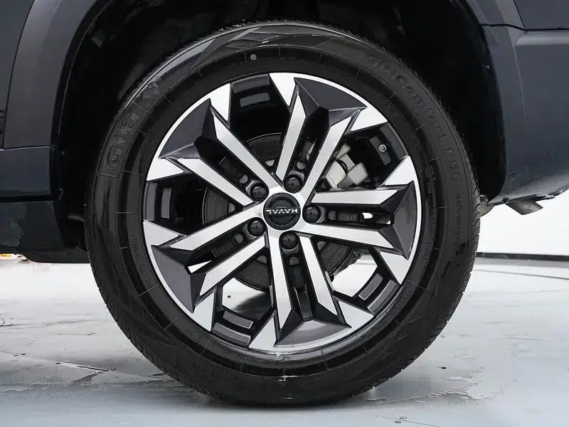 Haval Big Dog 2024 1.5T 2WD Labrador Edition — миниатюра 9