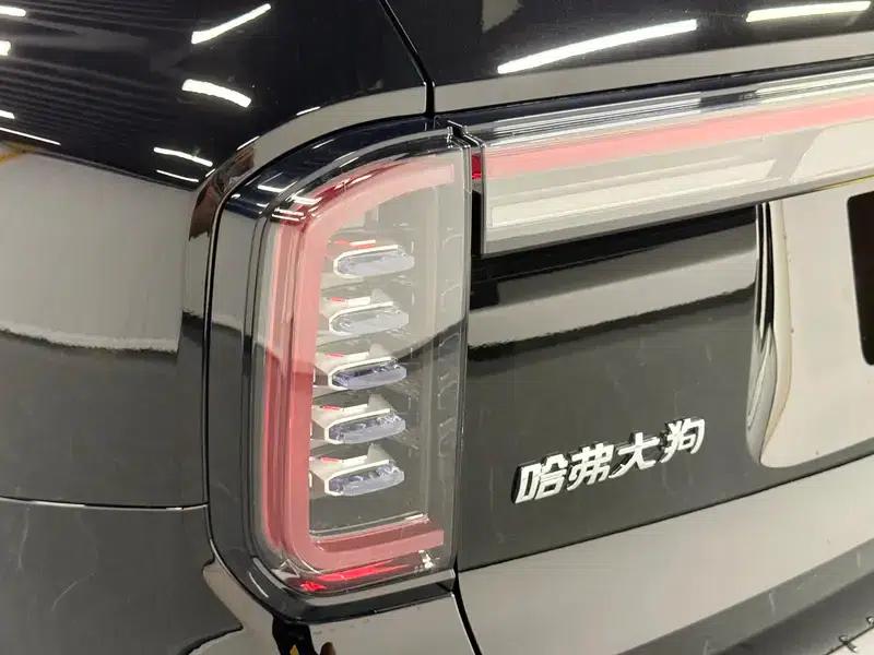 Haval Big Dog 2024 1.5T 2WD Border Collie Edition — миниатюра 13
