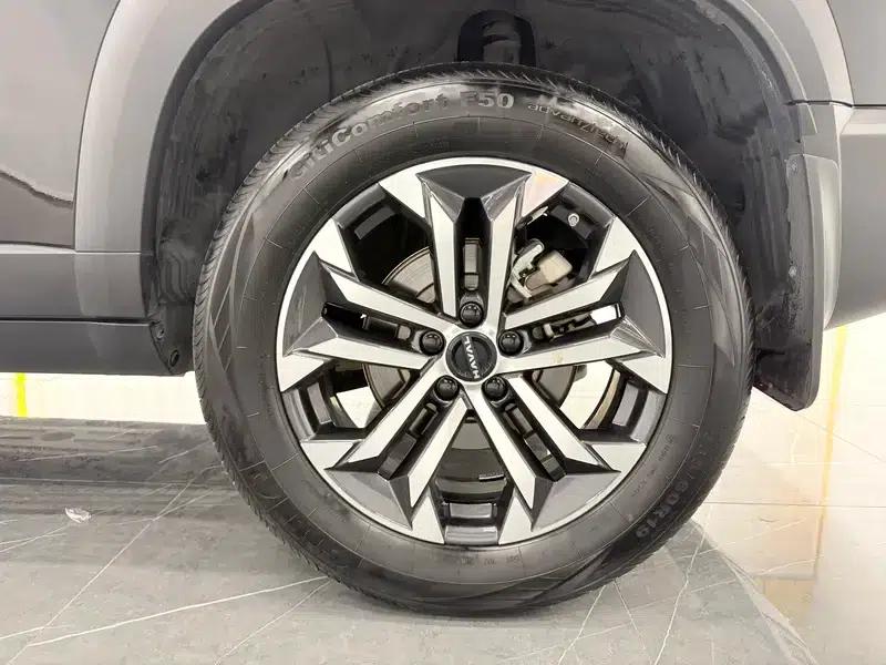 Haval Big Dog 2024 1.5T 2WD Border Collie Edition — миниатюра 9