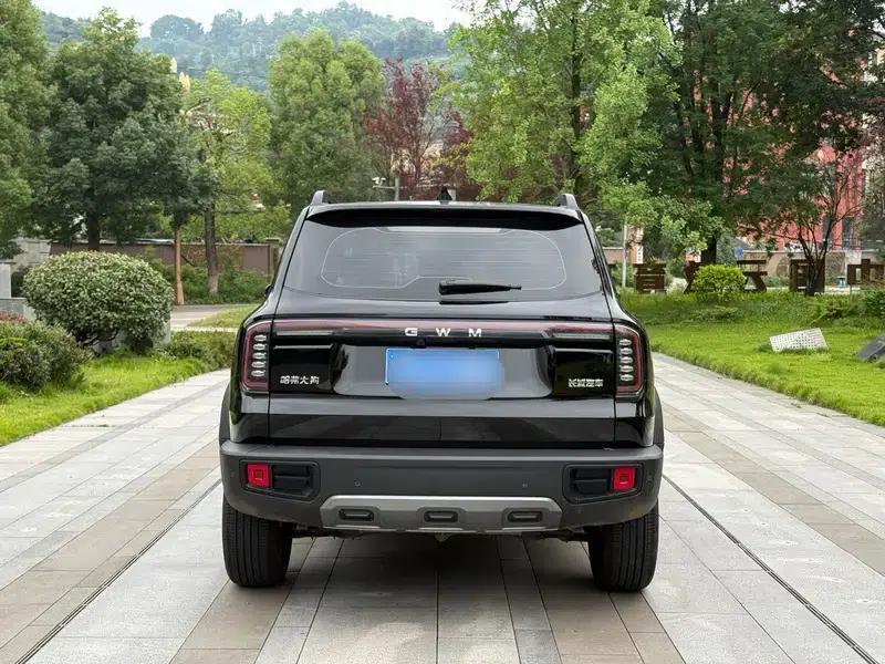 Haval Big Dog 2024 1.5T 2WD Border Collie Edition — миниатюра 4