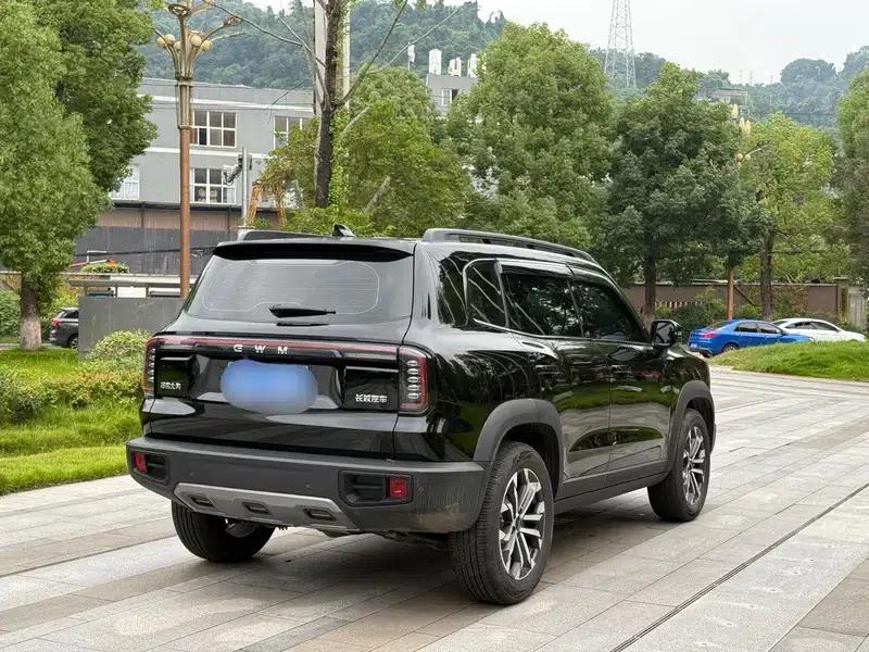 Haval Big Dog 2024 1.5T 2WD Border Collie Edition — миниатюра 5