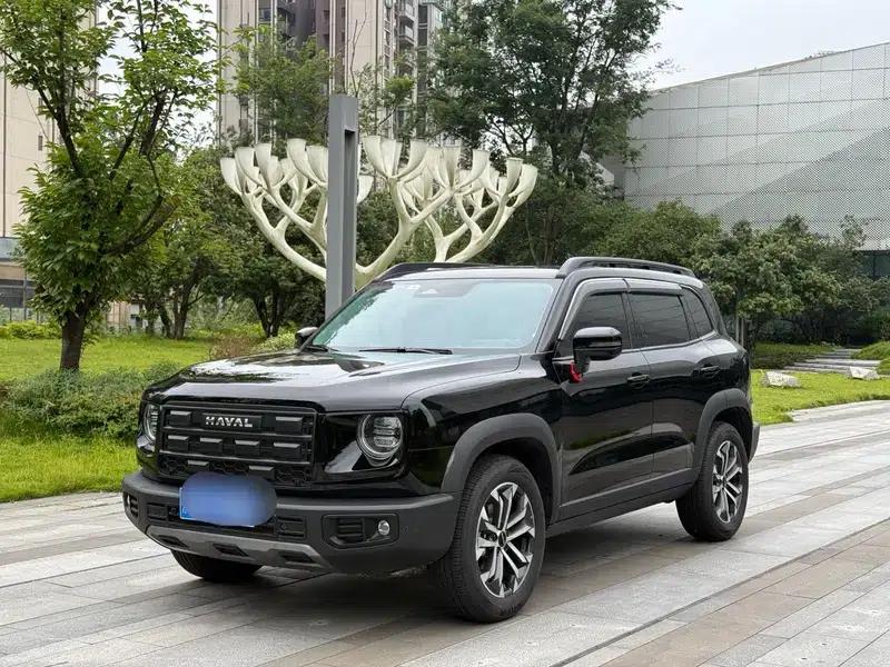 Haval Big Dog 2024 1.5T 2WD Border Collie Edition — миниатюра 8