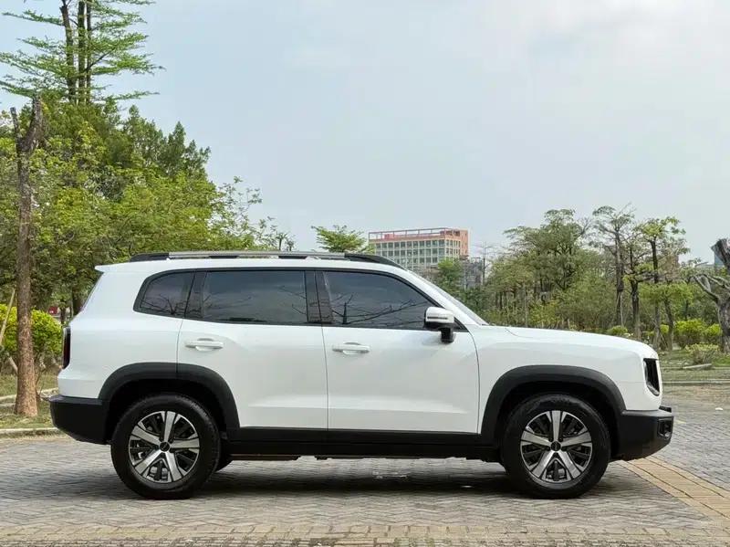 Haval Big Dog 2022 1.5T 2WD Border Collie Edition — миниатюра 8