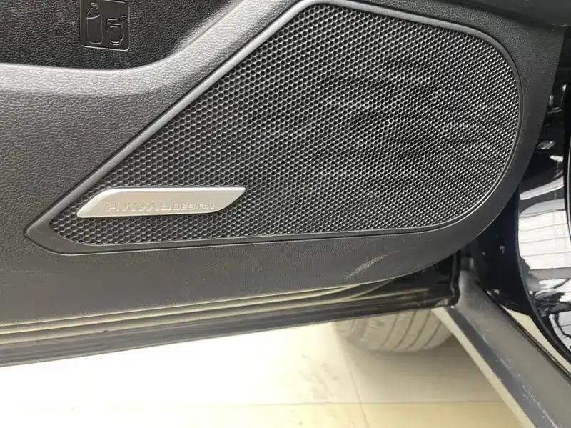 Haval Big Dog 2024 1.5T 2WD Border Collie Edition — миниатюра 7