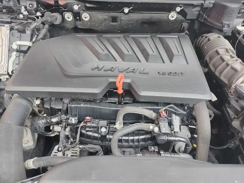 Haval Big Dog 2021 1.5T 2WD Border Collie Edition — миниатюра 11
