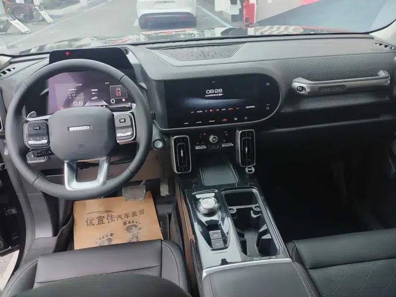 Haval Big Dog 2021 1.5T 2WD Border Collie Edition — миниатюра 13