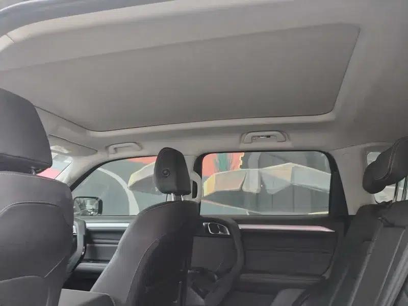 Haval Big Dog 2021 1.5T 2WD Border Collie Edition — миниатюра 18