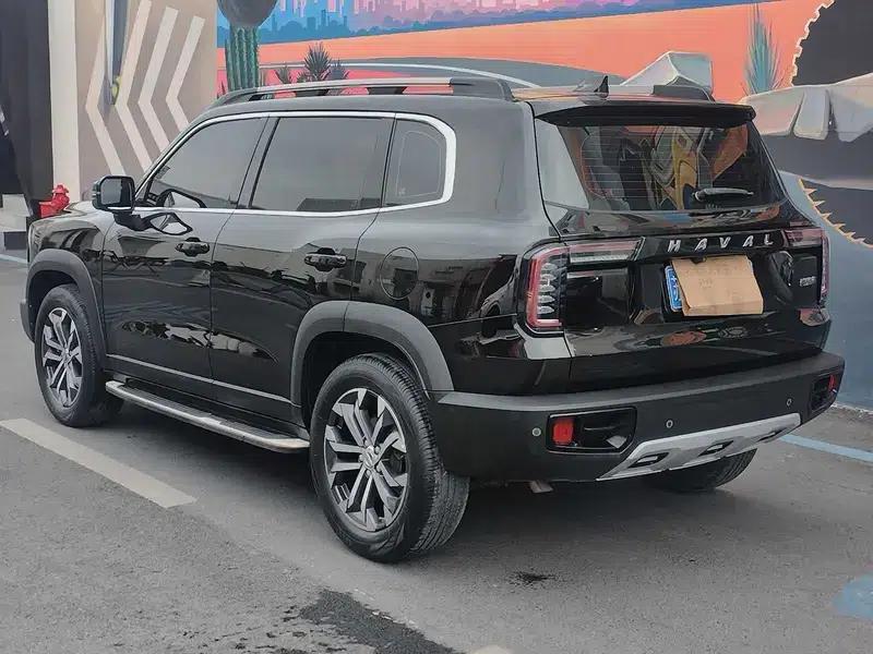 Haval Big Dog 2021 1.5T 2WD Border Collie Edition — миниатюра 4