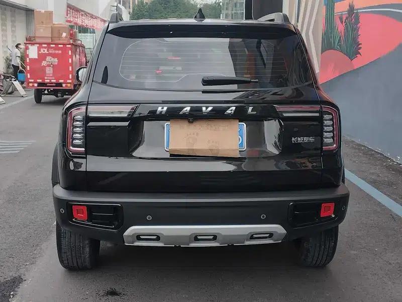 Haval Big Dog 2021 1.5T 2WD Border Collie Edition — миниатюра 5