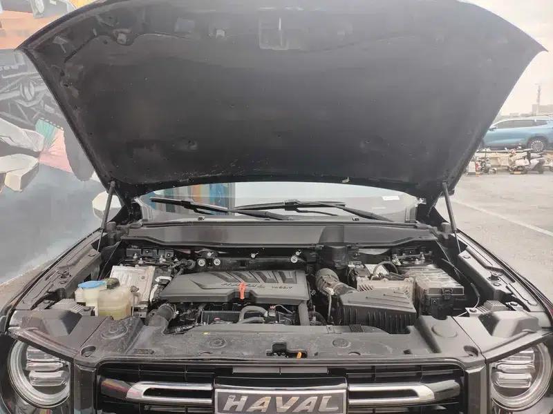 Haval Big Dog 2021 1.5T 2WD Border Collie Edition — миниатюра 8