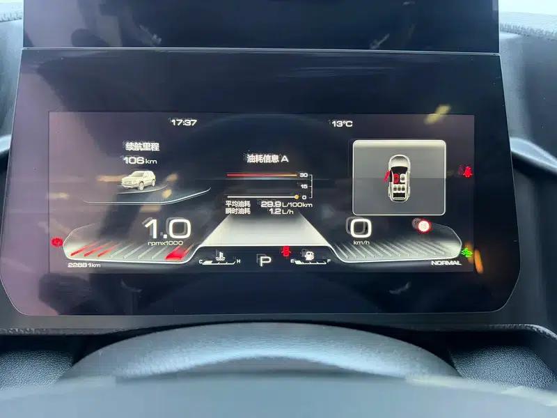 Haval Big Dog 2024 1.5T 2WD Border Collie Edition — миниатюра 15