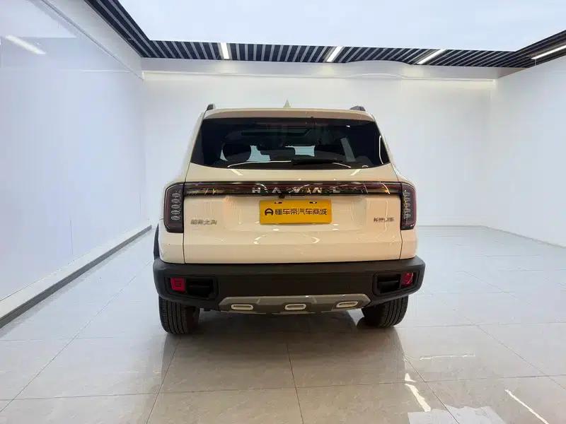 Haval Big Dog 2024 1.5T 2WD Border Collie Edition — миниатюра 6