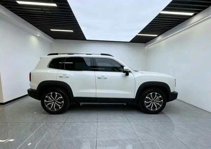 Haval Big Dog 2024 1.5T 2WD Border Collie Edition — миниатюра 8