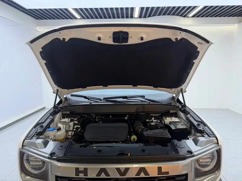 Haval Big Dog 2024 1.5T 2WD Border Collie Edition — миниатюра 10