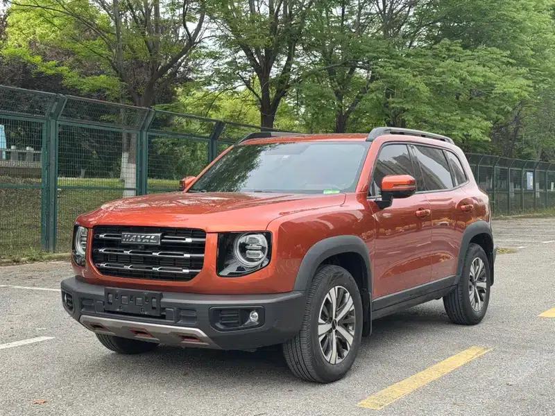 Haval Big Dog 2021 1.5T 2WD Border Collie Edition — миниатюра 1