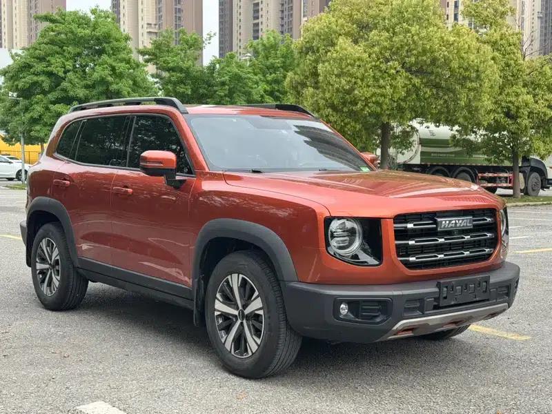 Haval Big Dog 2021 1.5T 2WD Border Collie Edition — миниатюра 3