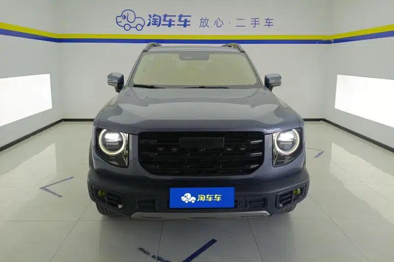 Haval Big Dog 2021 1.5T 2WD Border Collie Edition — миниатюра 2