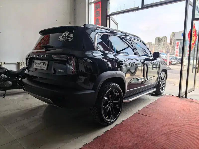Haval Big Dog 2022 1.5T 2WD Border Collie Edition — миниатюра 6