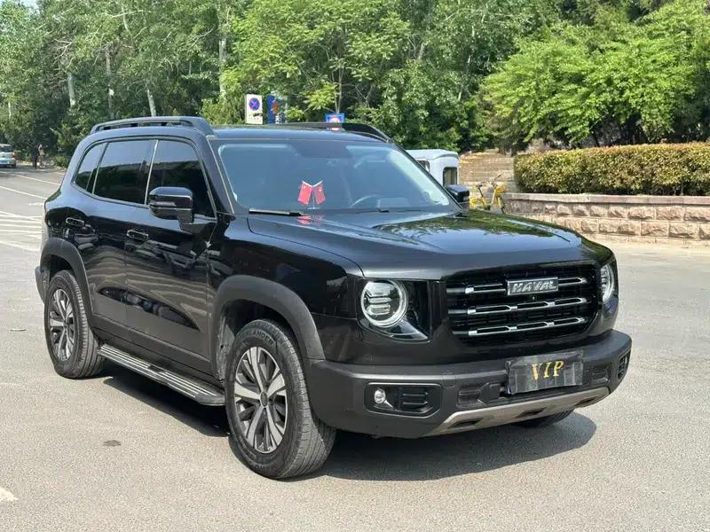 Haval Big Dog 2021 1.5T 2WD Labrador Edition — миниатюра 3