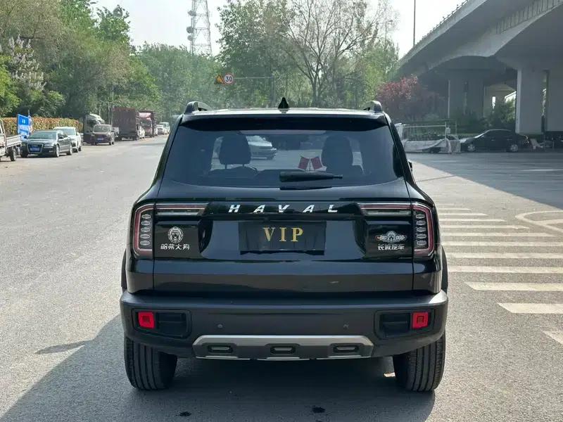 Haval Big Dog 2021 1.5T 2WD Labrador Edition — миниатюра 5