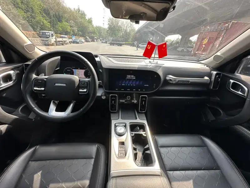 Haval Big Dog 2021 1.5T 2WD Labrador Edition — миниатюра 8