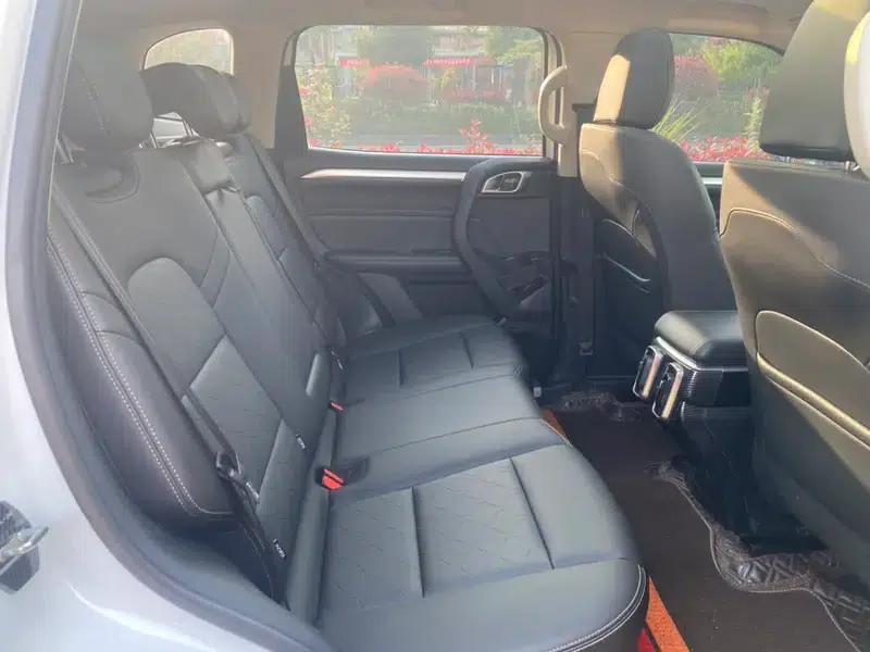 Haval Big Dog 2021 2.0T AWD Howling Dog Edition — миниатюра 19