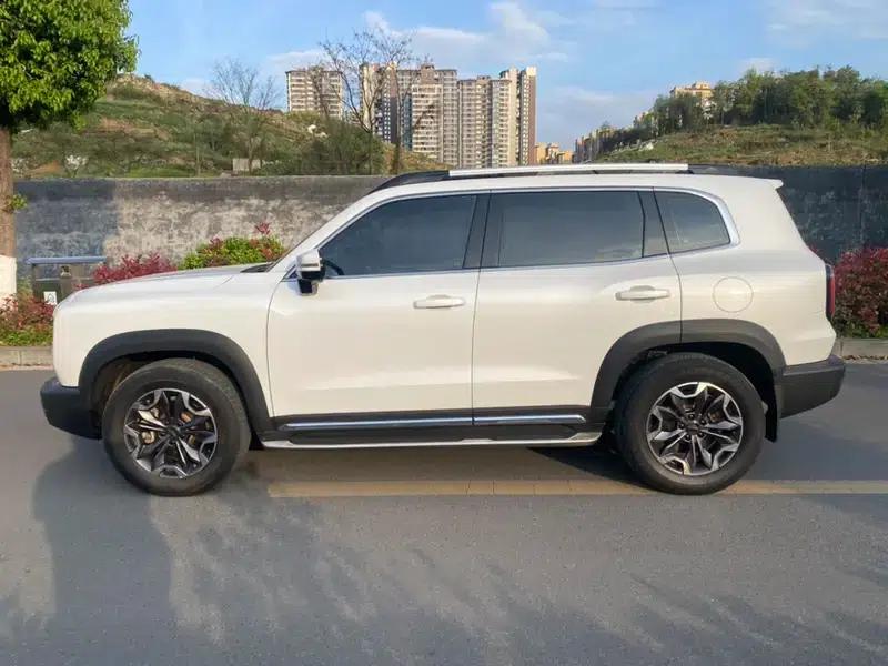 Haval Big Dog 2021 2.0T AWD Howling Dog Edition — миниатюра 4