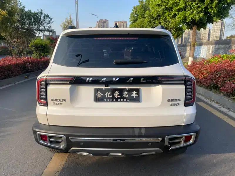 Haval Big Dog 2021 2.0T AWD Howling Dog Edition — миниатюра 6