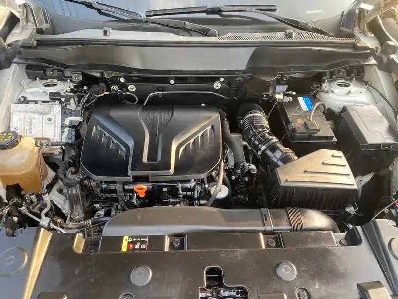 Haval Big Dog 2021 2.0T AWD Howling Dog Edition — миниатюра 8