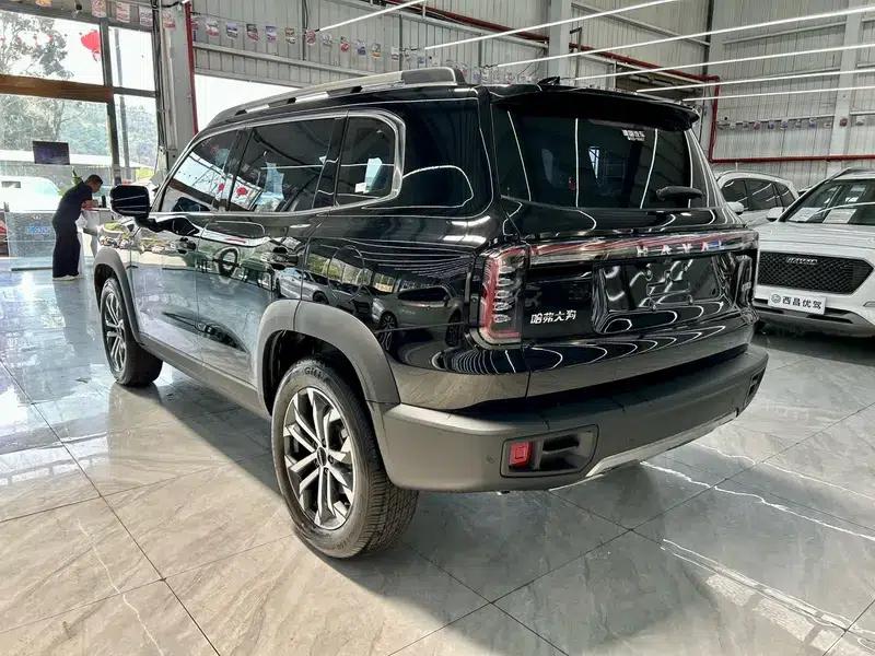 Haval Big Dog 2024 1.5T 2WD Border Collie Edition — миниатюра 4